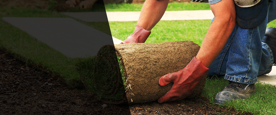 Saint George Landscapers